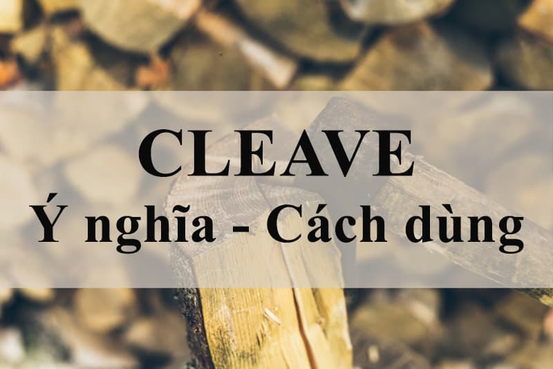 Ý nghĩa và cách dùng của động từ Cleave. (Ảnh: Tác giả)