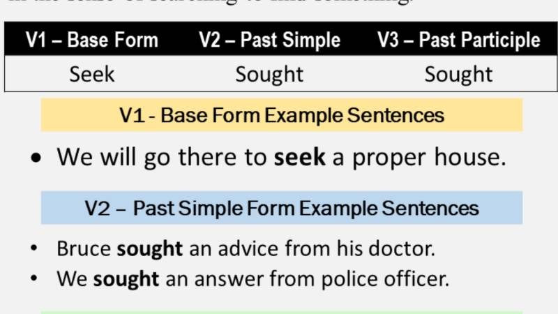 V1, V2, V3 của Seek. (Ảnh: Sưu tầm Internet)