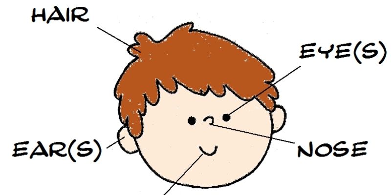 Học từ vựng tiếng Anh cho bé mới bắt đầu. (Ảnh: Sưu tầm Internet)