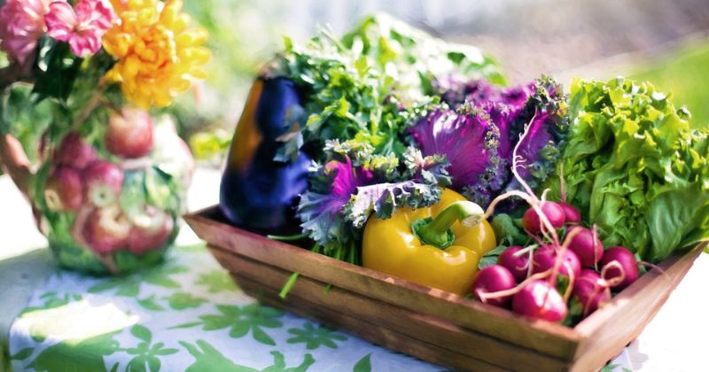 Chế độ dinh dưỡng kém ảnh hưởng đến chất lượng sữa mẹ. (Ảnh: Sưu tầm Internet)