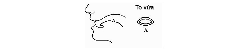 Khẩu hình miệng khi phát âm chữ a trong tiếng Việt. (Ảnh: Sưu tầm internet)
