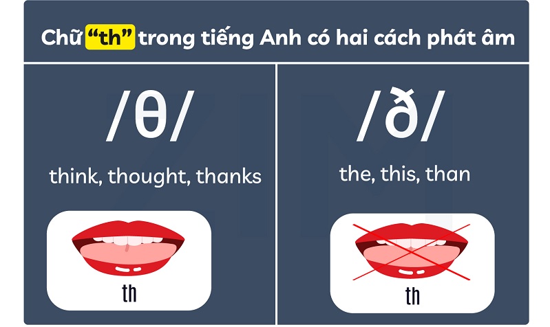 Khẩu hình miệng phát âm /th/ là /θ/ và /ð/. (Ảnh: Sưu tầm internet)