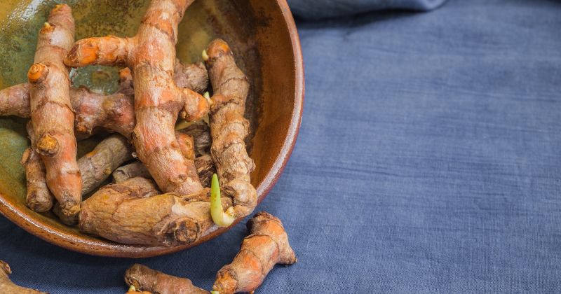 Trị rạn cho mẹ sau sinh bằng nghệ tươi đảm bảo an toàn (Ảnh: Sưu tầm Internet)