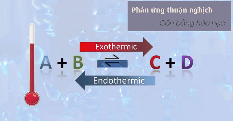 Phản Ứng Thuận Nghịch Là Gì? Khái Niệm, Đặc Điểm Và Ứng Dụng Thực Tiễn