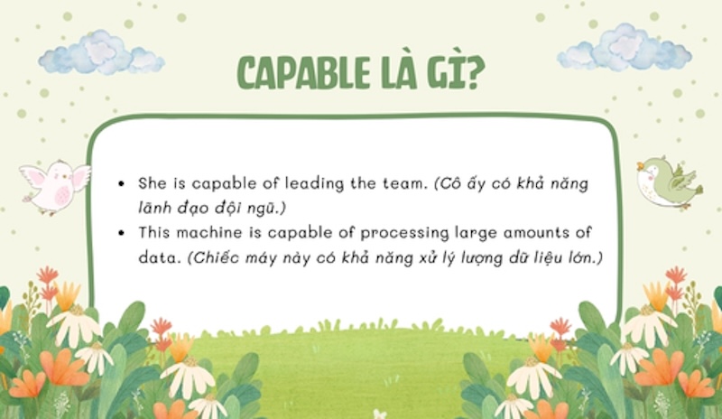 Ý nghĩa của capable trong tiếng Anh (Ảnh: Sưu tầm internet)