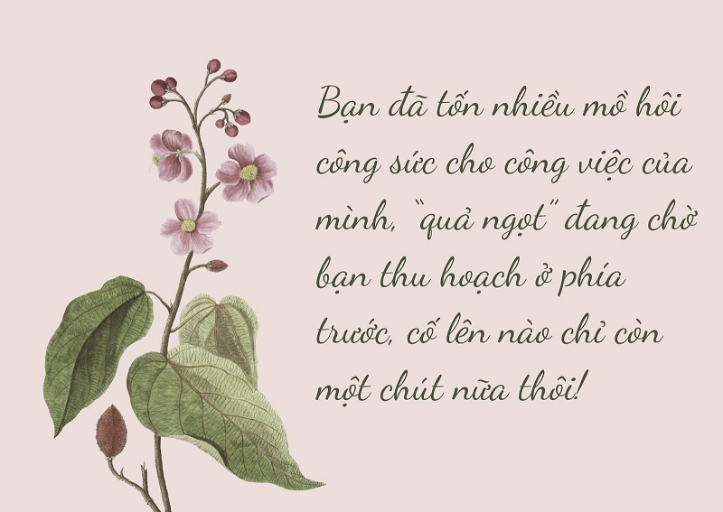 Tăng vốn từ vựng để có được những lời chúc ý nghĩa, sâu sắc. (Ảnh: Sưu tầm internet)