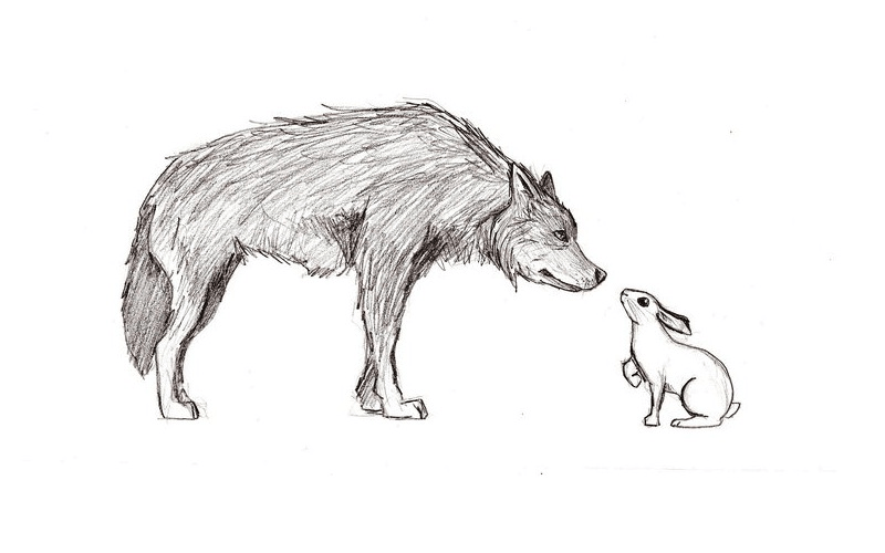 Truyện thai giáo “Thỏ trắng tốt bụng và sói xám”. (Ảnh: Sưu tầm Internet)