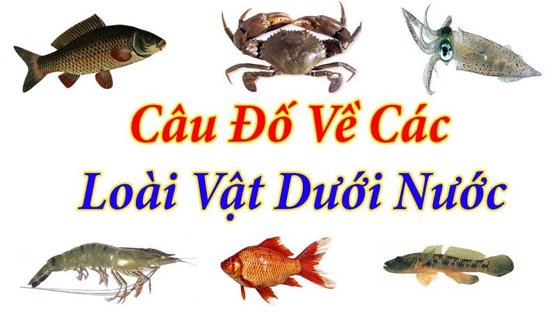 Câu đố về các con vật sống trong rừng. (Ảnh: Sưu tầm Internet)