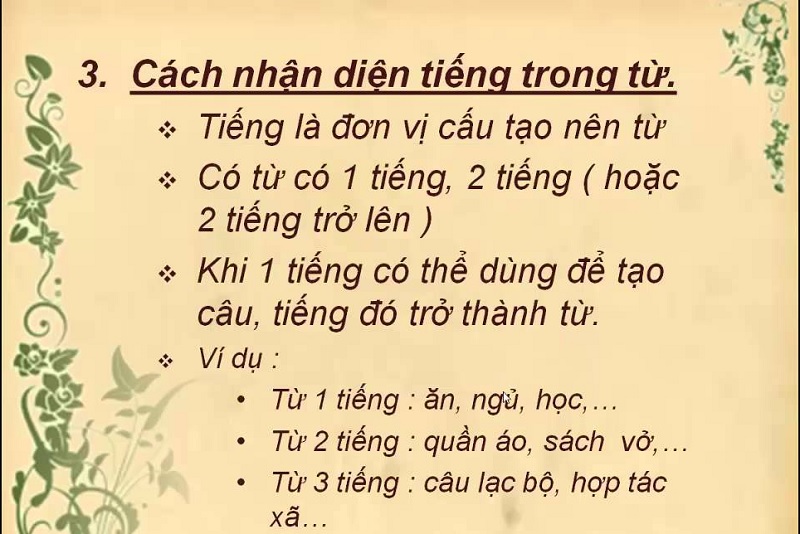 Sự khác biệt giữa từ và tiếng trong tiếng Việt. (Ảnh: Sưu tầm internet)