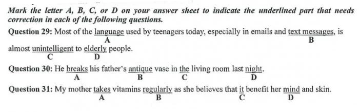 Dạng bài tập tìm lỗi sai trong câu tham khảo. (Ảnh: Sưu tầm internet)