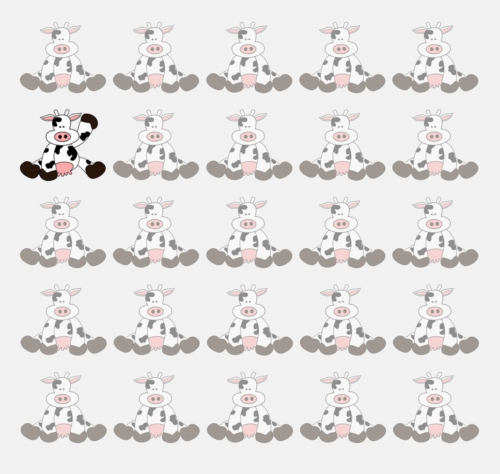 Con bò ở hàng thứ 2 giơ tay lên (Nguồn:Sưu tầm internet) 