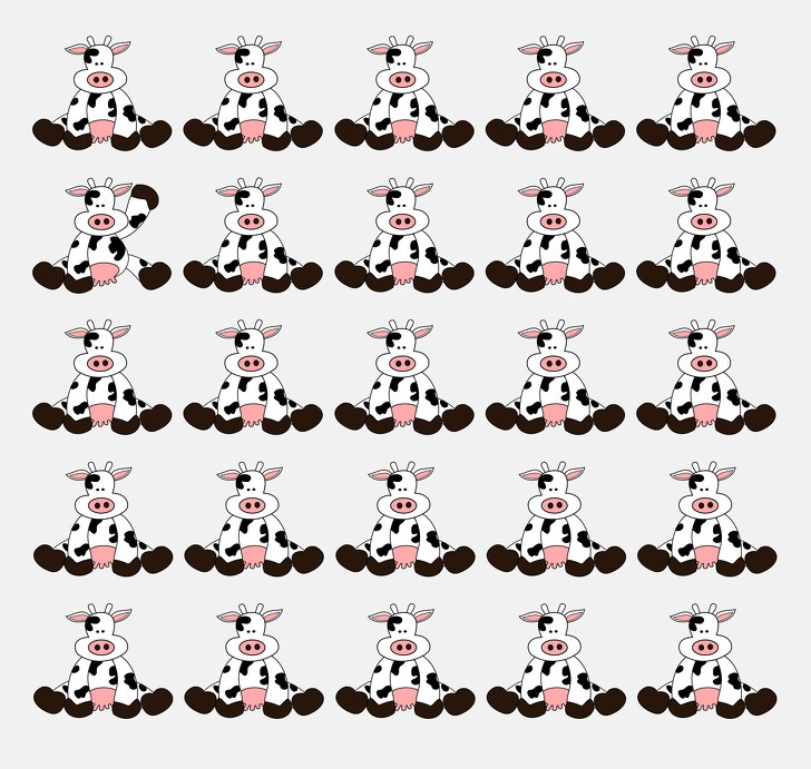 Câu đố tìm điểm khác biệt (Nguồn:Sưu tầm internet)