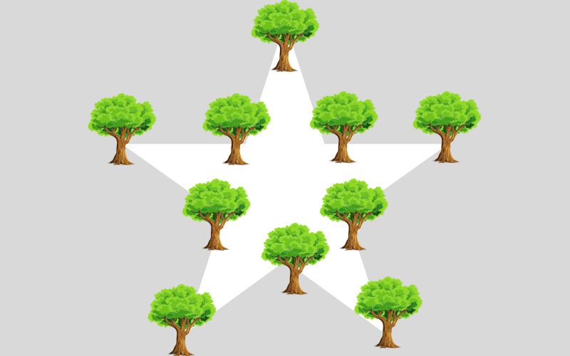 Trồng theo hình ngôi sao là đáp án đúng (Nguồn: Monkey)