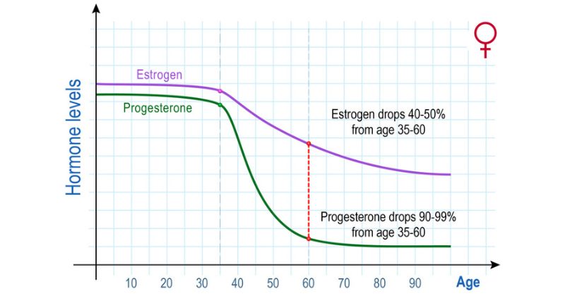 Hormone mất cân bằng trong cơ thể dẫn đến trễ kinh (Ảnh: Sưu tầm Internet)