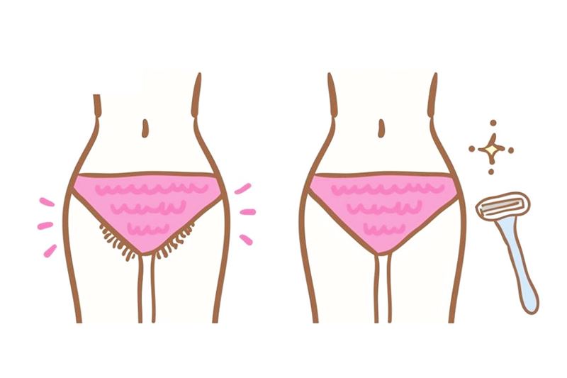 Dọn dẹp vi ô lông thường xuyên. (Ảnh: Internet)