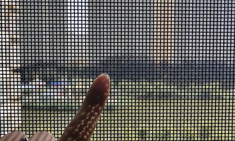 Lưới chống côn trùng được sử dụng phổ biến và mang lại hiệu quả rất tốt. (Ảnh: Nguồn Internet)