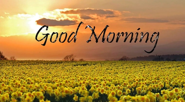 “Good morning” là câu chào buổi sáng thường gặp nhất. (Ảnh: Sưu tầm internet)