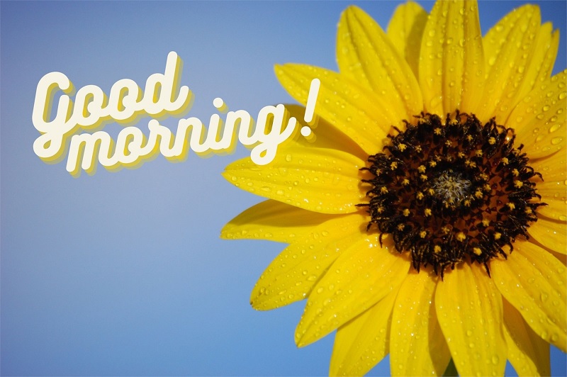Tham khảo nhiều mẫu câu chào buổi sáng bằng tiếng Anh hay, ý nghĩa. (Ảnh: Sưu tầm internet)