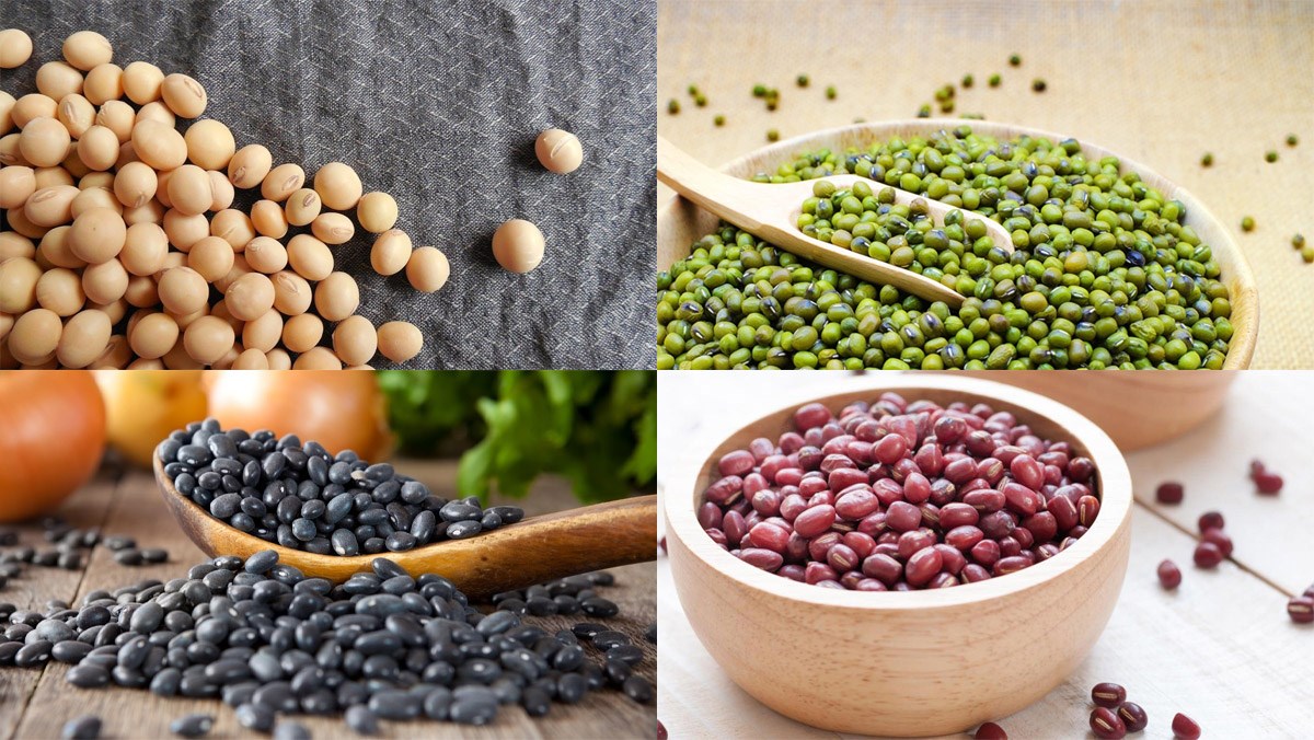 Đạm thực vật là gì? (Ảnh: Sưu tầm Internet)