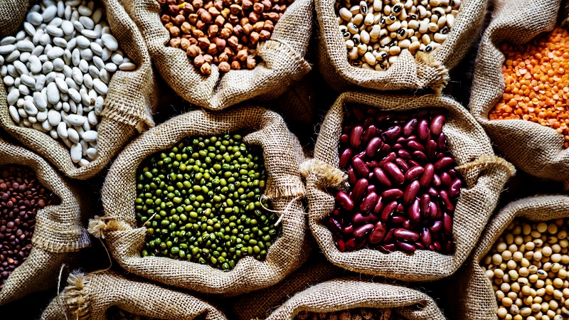 Kết hợp giữa đậu và các loại họ đậu. (Ảnh: Sưu tầm Internet)