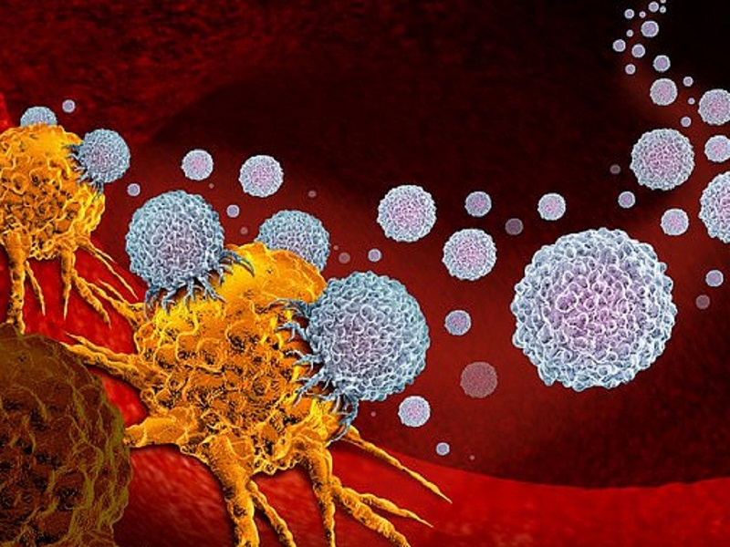 Chất xơ góp phần giảm thiểu nguy cơ mắc ung thư và hỗ trợ kiểm soát sức khỏe tốt hơn. (Ảnh: Sưu tầm Internet)