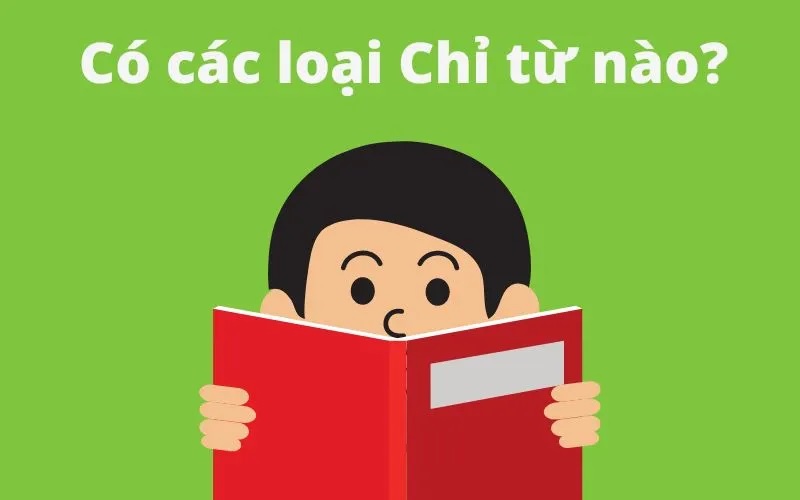 Trong tiếng Việt có nhiều loại chỉ từ khác nhau. (Ảnh: Sưu tầm internet)