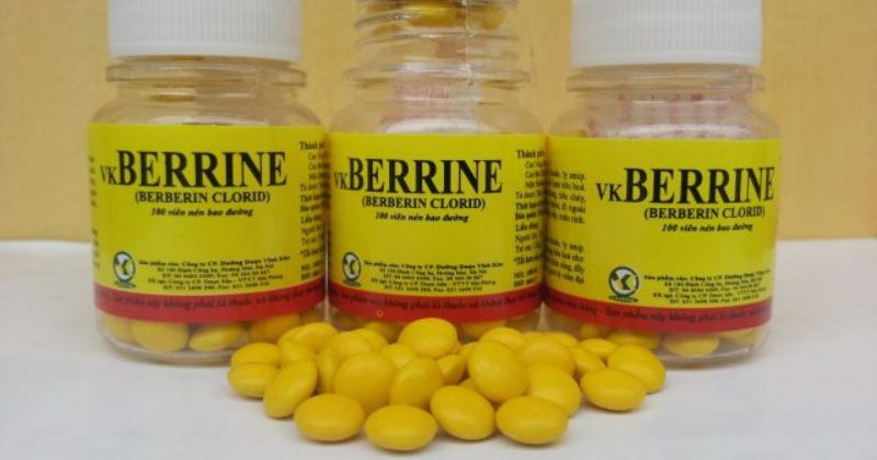 Berberin có tác dụng trị bệnh đường ruột cực kỳ hiệu quả. (Ảnh: Sưu tầm Internet)