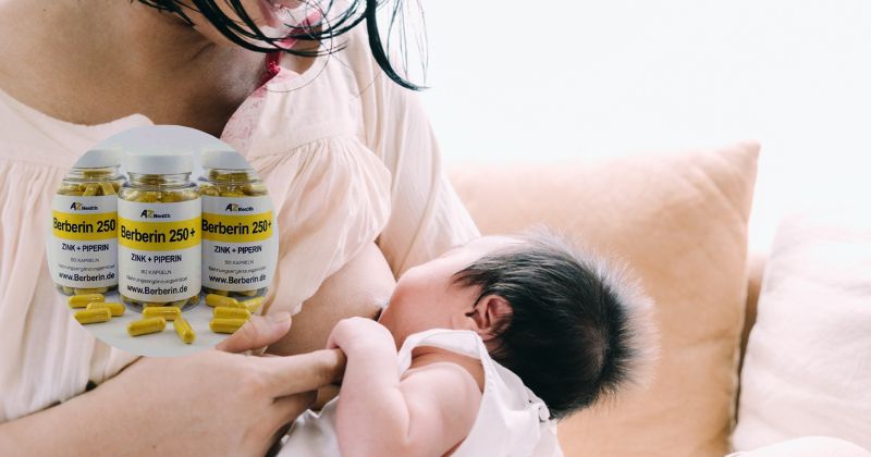 Mẹ cho con bú uống Berberine gây nguy cơ tổn thương não trẻ em. (Ảnh: Sưu tầm Internet)