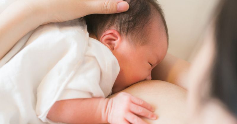 Các mốc thời điểm thường được áp dụng để cai sữa mẹ. (Ảnh: Sưu tầm Internet)