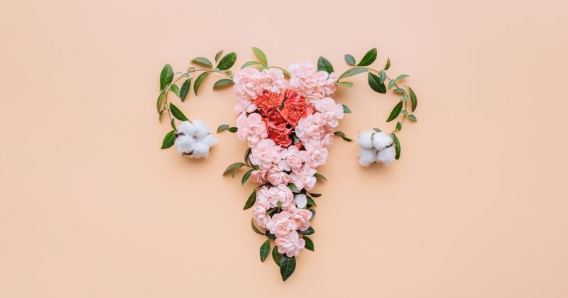 Tình trạng khô hạn thường kéo dài khoảng 3 tháng sau sinh (Ảnh: Sưu tầm Internet)