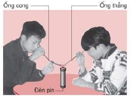 Hình ảnh minh họa cho thí nghiệm 1. (Ảnh: Sưu tầm Internet)