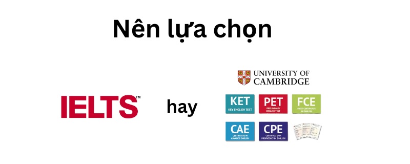 Tuỳ vào độ tuổi, năng lực của các bé để chọn chứng chỉ học và thi phù hợp (Ảnh: Sưu tầm internet)