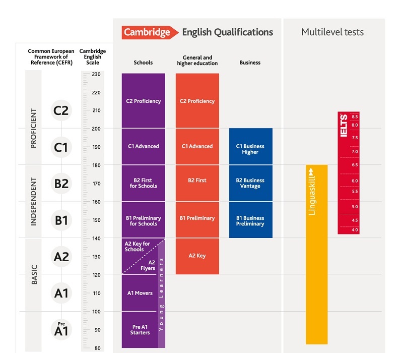 Bé có thể luyện và nâng cao bởi các chứng chỉ cambridge cấp độ cao hơn (Ảnh: Sưu tầm internet)