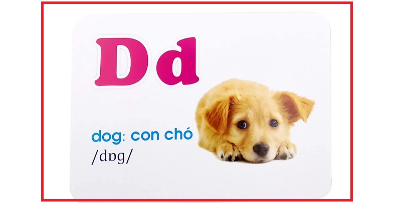 Dùng thẻ từ (flash card) về con chó trong tiếng Anh. (ảnh: Sưu tầm internet)