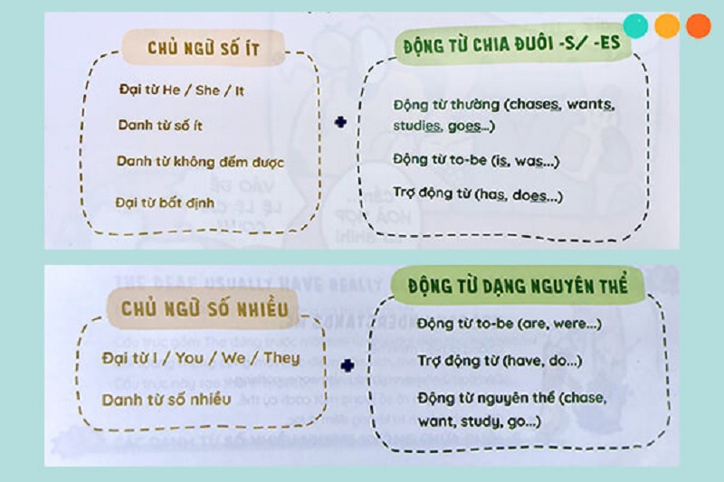 Quy tắc giữa sự hoà hợp của chủ ngữ và động từ. (Ảnh: Sưu tầm internet)