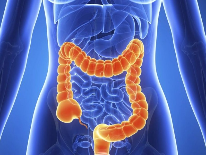 Tinh bột kháng trong cơm có thể tạo thành các axit béo cụ thể giúp ruột kết khỏe mạnh. (Ảnh: Sưu tầm Internet)