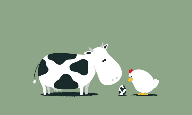 Nắm rõ các thành ngữ liên quan đến con bò trong tiếng Anh. (Ảnh: Sưu tầm internet)