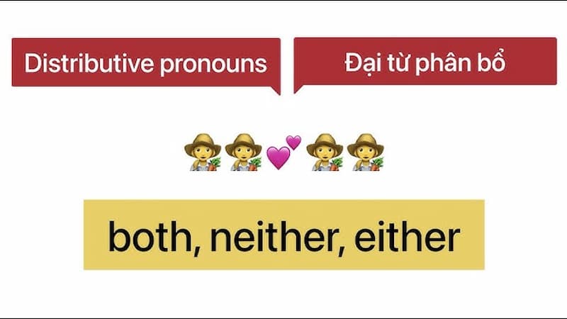 Đại từ phân bổ (Distributive pronouns). (Ảnh: Internet)
