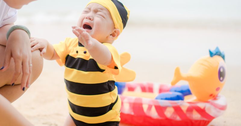 Chất kích thích trong bia sẽ ảnh hưởng đến não bộ của trẻ (Ảnh: Sưu tầm Internet)