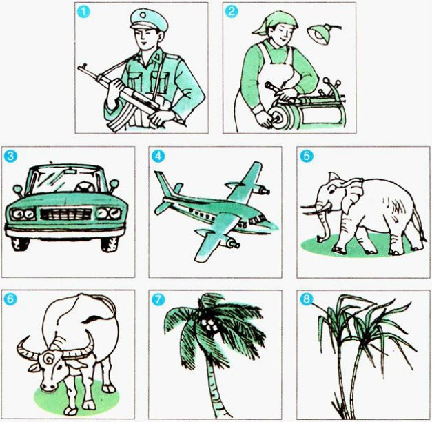 Có nhiều dạng bài tập về danh từ chung trong khi học tiếng Việt. (Ảnh: Sưu tầm interrnet)