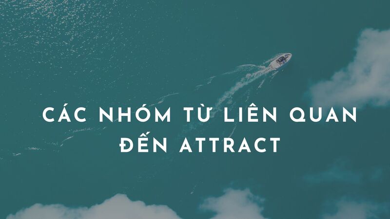 Tìm hiểu các nhóm từ liên quan đến Attract. (Ảnh: Internet)
