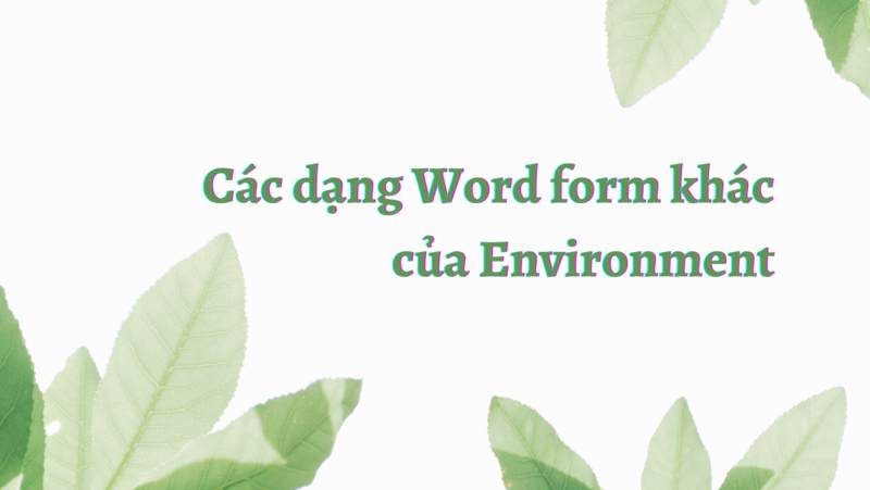 Tìm hiểu các dạng Word Form của Environment cùng cách phát âm và ý nghĩa của chúng. (Ảnh: Tác giả)