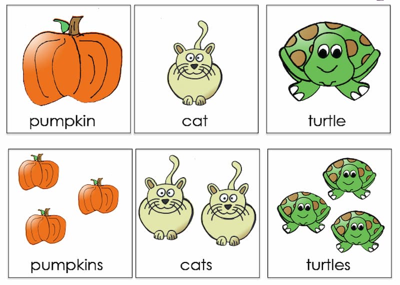 Cách dùng danh từ số ít và danh từ số nhiều.  (Ảnh: Internet)