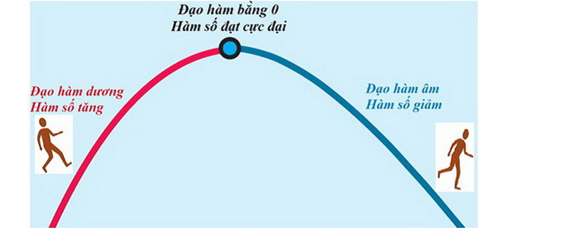 Đạo hàm bằng 0 khi hàm số đạt giá trị cực đại. (Ảnh: Báo Tuổi Trẻ)