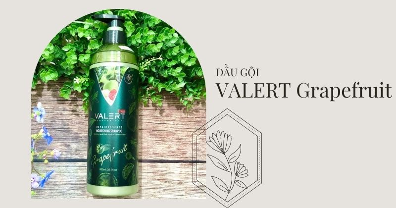 Dầu gội bưởi Valert Grapefruit Plus (Ảnh: Sưu tầm Internet)