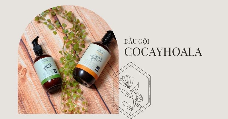 Dầu gội Cocayhoala ginger (Ảnh: Sưu tầm Internet)