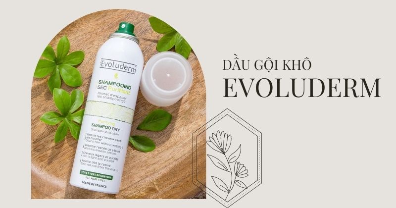 Dầu gội khô Evoluderm Purifying Shampoo Dry (Ảnh: Sưu tầm Internet)