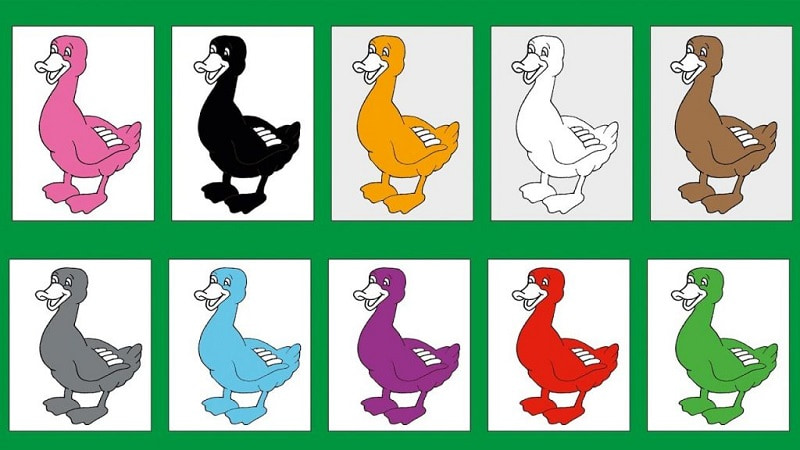 Dạy bé nhận biết màu sắc từ những màu cơ bản. (Ảnh: Sưu tầm Internet)