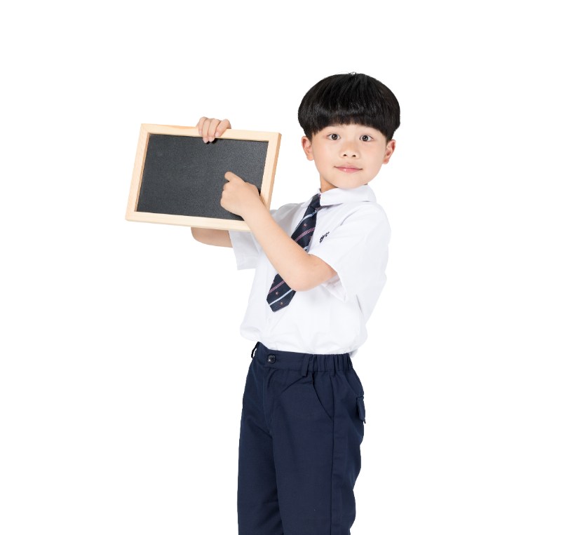 Các bài tập khi dạy trẻ học toán theo phương pháp Montessori được chia thành 6 nhóm