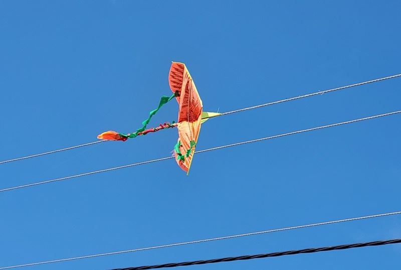 Không thả diều ở nơi có nhiều dây điện. (Ảnh: Internet)